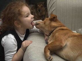 Un enfant embrasse un chien et est infecté par des parasites.