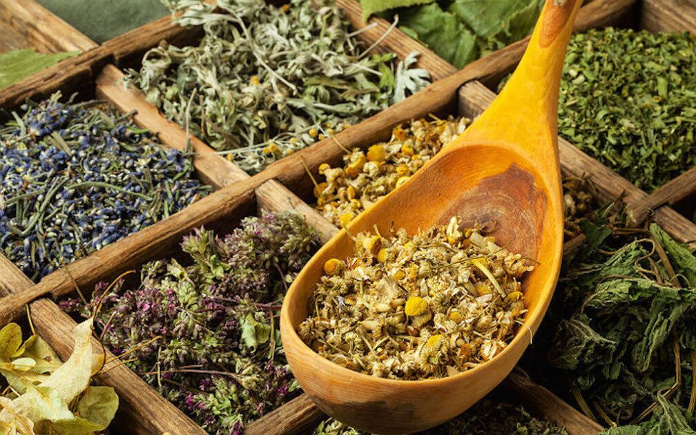 Herbes sèches pour les parasites dans le corps.